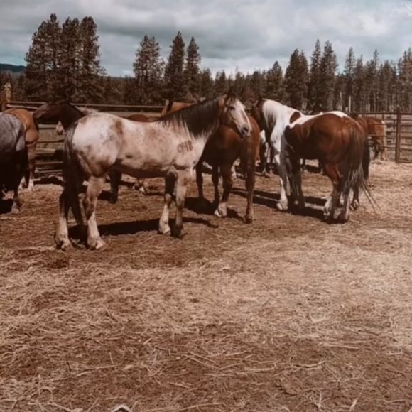 Meet your Posher, GG - Picture 10 of 11